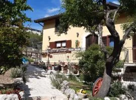 IL GIRASOLE