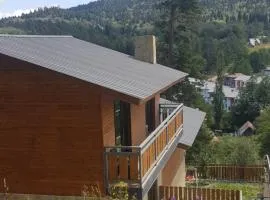 Villa A Barleon Bakuriani