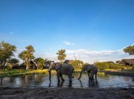 South Okavango - Omogolo Hideaways，Rammu的附設泳池的飯店