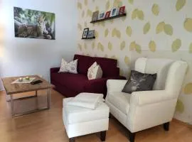 Ferienwohnung Harzluchs mit Balkon & Sauna im Haus