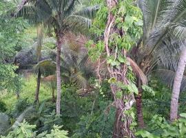 Hill Bottom Accommodation – domek wiejski w mieście Suva
