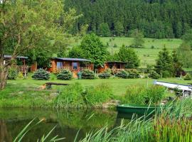 Stanica pod Zadzierną Kemping Domki letniskowe, campsite in Lubawka