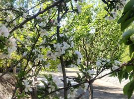 Yountan guest house, hotel poblíž Letiště Kushok Bakula Rimpochee - IXL, 