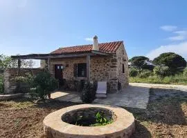 The Stone House