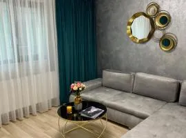Central Apartament 2