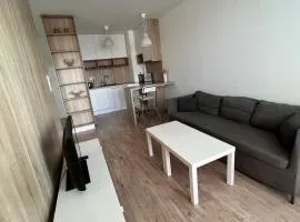 Air conditioned 2 room apartment with terrace, Prievozska street