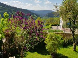 Große Wohnung mit Balkon Sulzbergblick in Alpirsbach: Alpirsbach şehrinde bir konaklama birimi