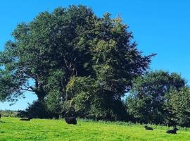 Bramble Cottage on the edge of Exmoor, hotel em Combe Martin