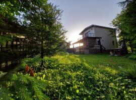 C House, villa in Buşteni