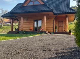 Chata pod Honem, hotel din apropiere 
 de Bieszczady Forest Railway, Cisna