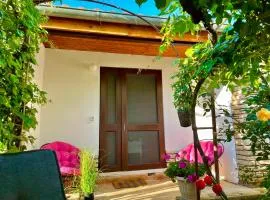 Lovely flower small house for two by the sea