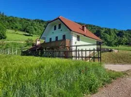 Holiday home in Semic Kranjska Krain 42896