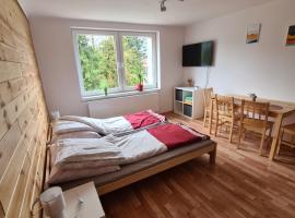 Apartamenty Willa NaSkarpie Jacuzzi Sauna Basen
