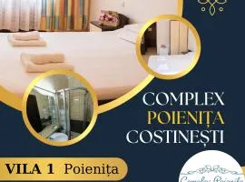 Vila Poienita