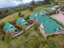 Hortensias Chalets Vara blanca