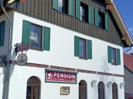 Pension Drei Elstern, готель біля визначного місця Гора Брокен, у місті Ширке