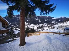 Panoramaalm - Ski in - Ski out