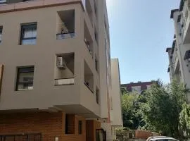 APARTMAN ANA