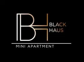 BLACKHAUS YOUNG MINI