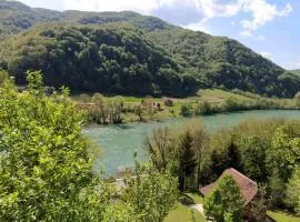 Drinski pogled