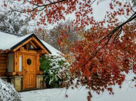 Blue Bird House, hotel i San Carlos de Bariloche
