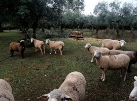 EL VENERO DE MOSTOLES, Ferienwohnung in Constantina