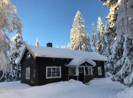 Lillfallet mysig fjällstuga med bästa läge på fjället, ski resort in Sälen