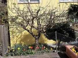 Il Nido
