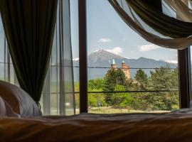 Chateau Gremisio, cheap hotel in Kvareli