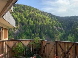 Terrasse sur les Aravis – hotel w mieście La Giettaz