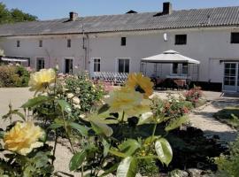 Le Vieux Logis, hotel with parking in Montreuil-Bellay