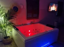 Loft avec jacuzzi illimité et privatif au calme 20 min Paris