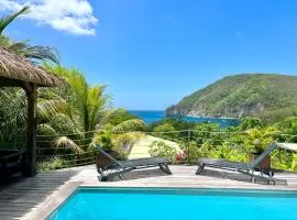 Villa Corali, vue mer, piscine, Pointe Batterie Deshaies