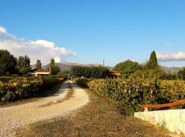 Authentic Country House in Zakynthos, holiday home in Ambelókipoi