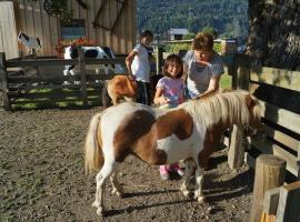 Bauernhof Katin, Hotel in Tröpolach