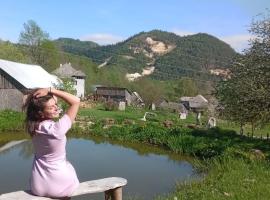 RUSTIC SEJOUR CASA MOUNTAIN,Roşia Montana, campsite in Roşia Montană