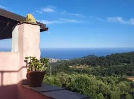 La casa rosa