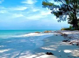 Welcome To The Paradise