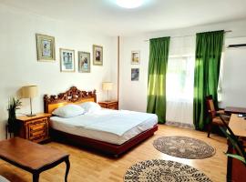 Rooms Villa Luigi, hostal o pensión en Pančevo