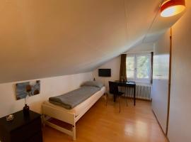 Budgetapartment Rheinfall von Swisspartments, apartamento en Arbon