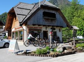 Apartments Julijana, διαμέρισμα σε Kranjska Gora