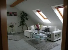 Haus-Irena