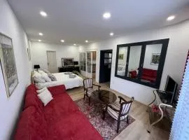 Golden Home in the town center with a free garage