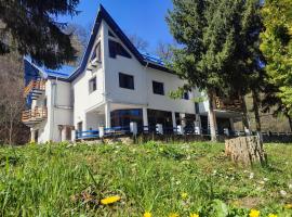 Hotel Parc Geoagiu Bai, hotel v destinaci Geoagiu Băi