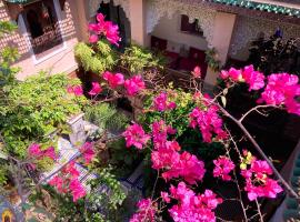 Riad Toyour- Riad of birds, hotel v destinaci Fès