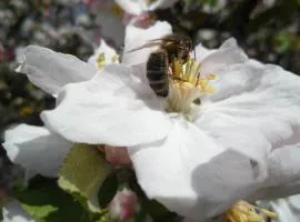 Charmante maison XIXe avec jardin, Wifi et baptêmes de l'air à proximité - FR-1-497-32