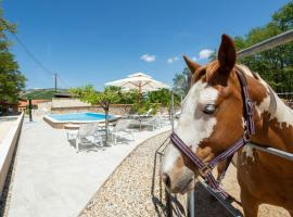 Holiday home with swimming pool, donkeys and horses, hotel sa Vrlika