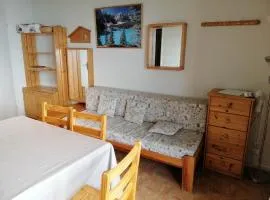 Appartement Les Adrets-Prapoutel, 2 pièces, 6 personnes - FR-1-557-69