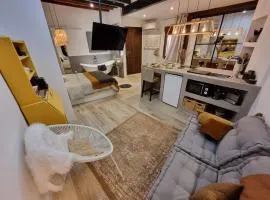 Lofts amantes de Toledo -LOFT SAGRARIO