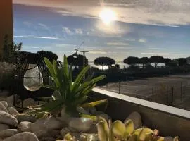 T3 climatisé, 3*, 50m de la plage, garage, wifi inclus - FR-1-610-37